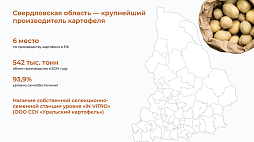 Создание производства по глубокой переработке картофеля в Свердловской области - ознакомительный фрагмент презентации - 2